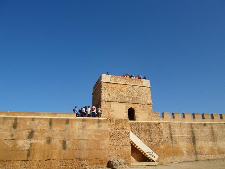 foto_7