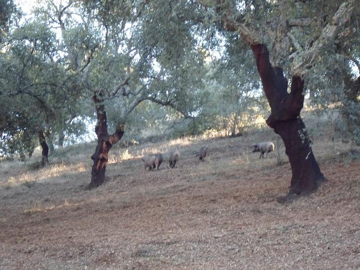 foto_16