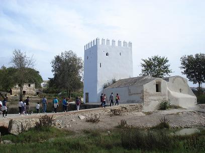 OROMANA_6