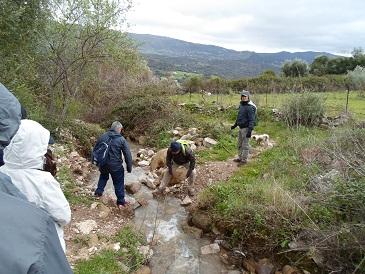 cortes2