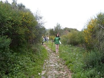 cortes3