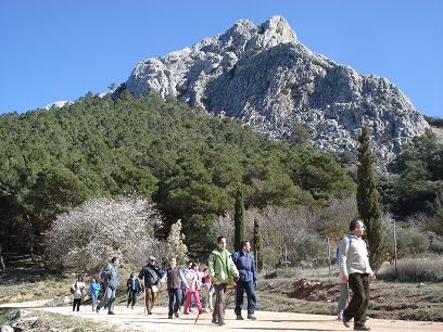 los_caos_10