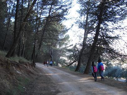 los_caos_6