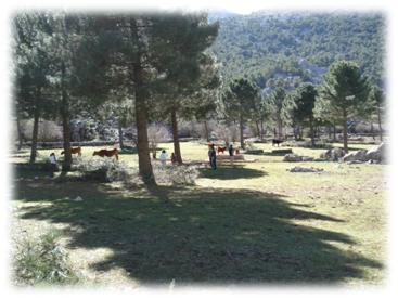 Grazalema05