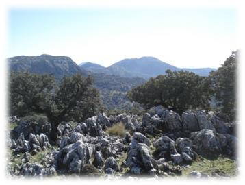 Grazalema09