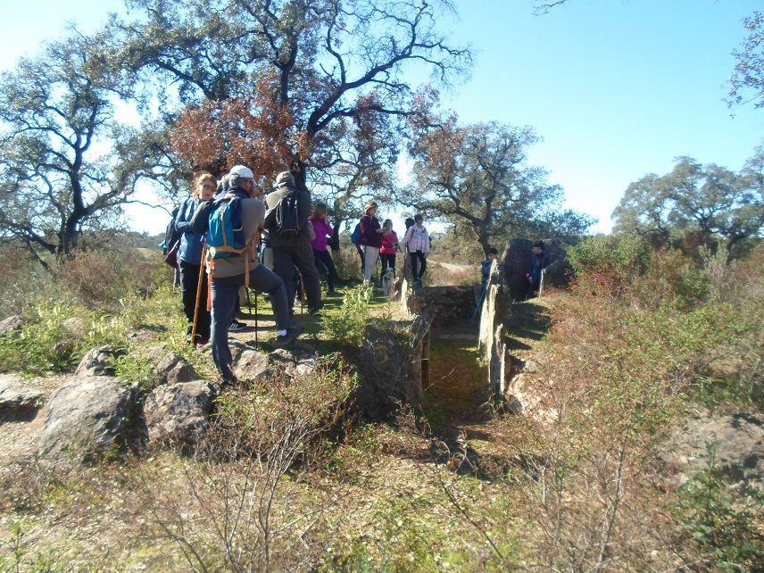 SAM 3723