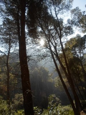 El Caminito del Rey