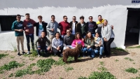 Fiesta de la Primavera