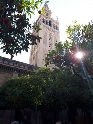 Ruta Turística Sevilla IV (La Catedral)