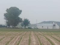 Fiesta de la Primavera 2024